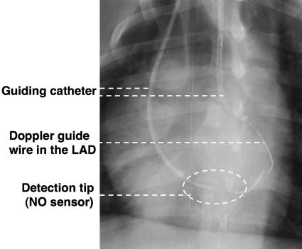 Fig. 2.