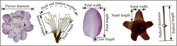 Fig. 3