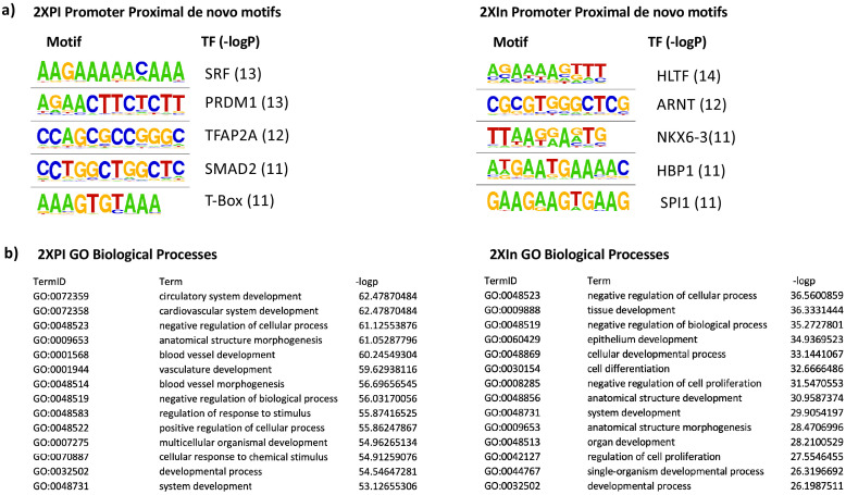 Figure 5—figure supplement 3.