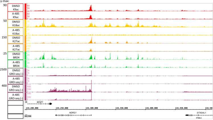 Figure 7—figure supplement 2.