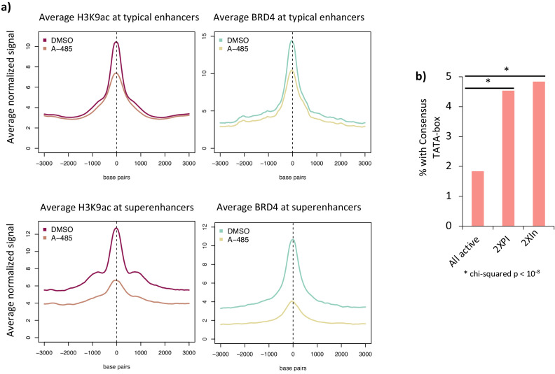 Figure 5—figure supplement 1.