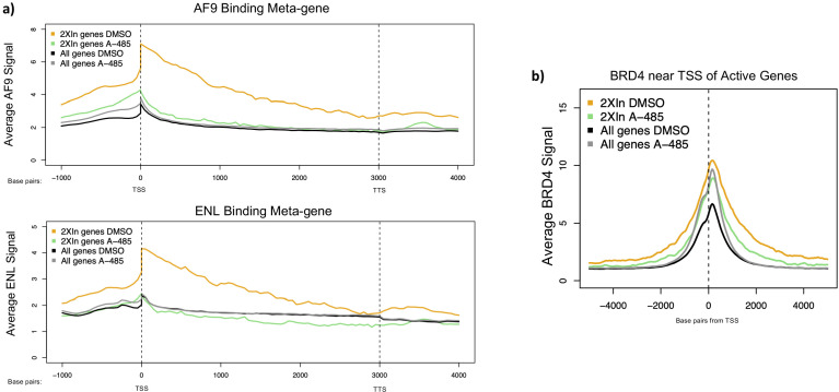 Figure 6—figure supplement 1.