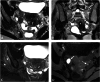 Fig. 6