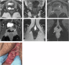 Fig. 9