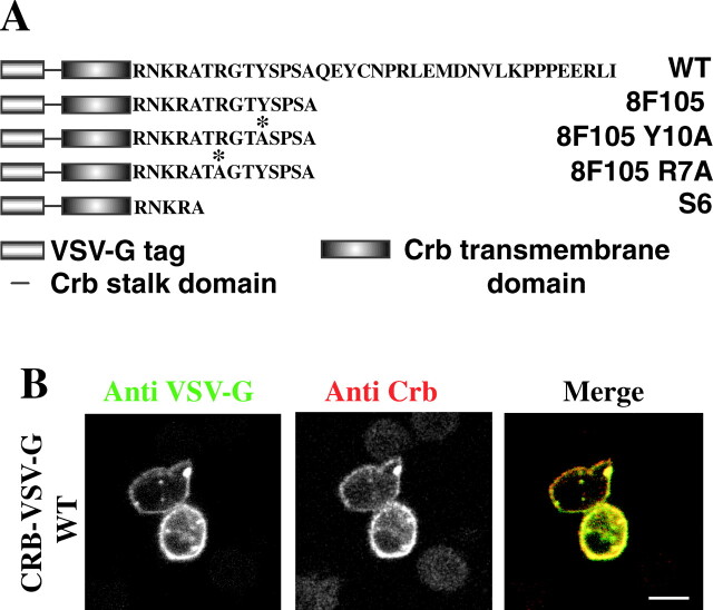 Figure 6.