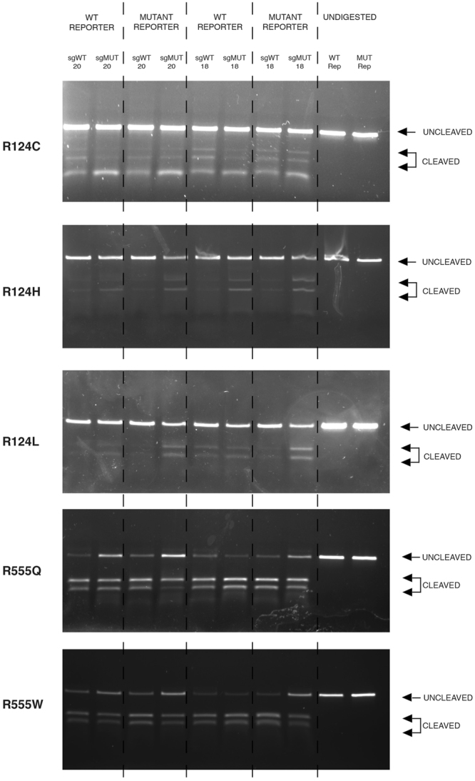 Figure 9