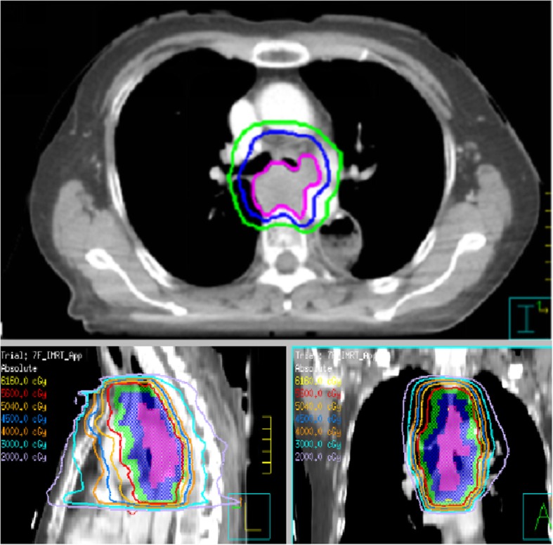 Fig. 6