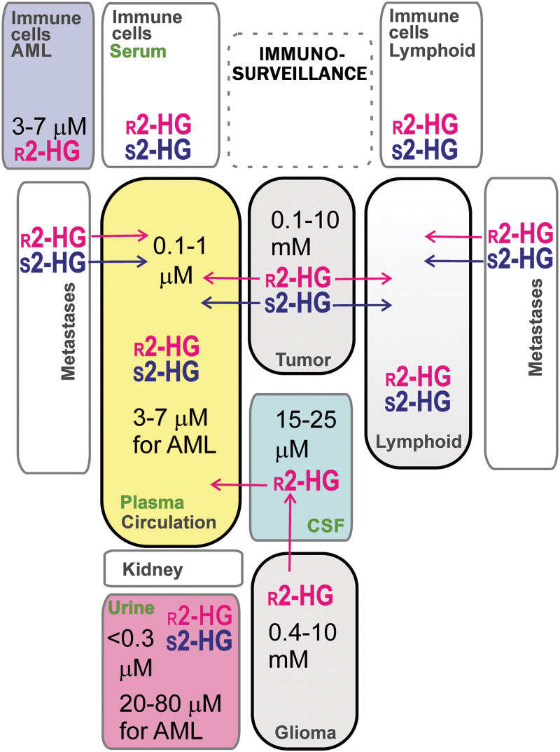 FIG. 7.