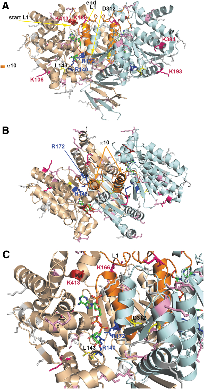 FIG. 2.