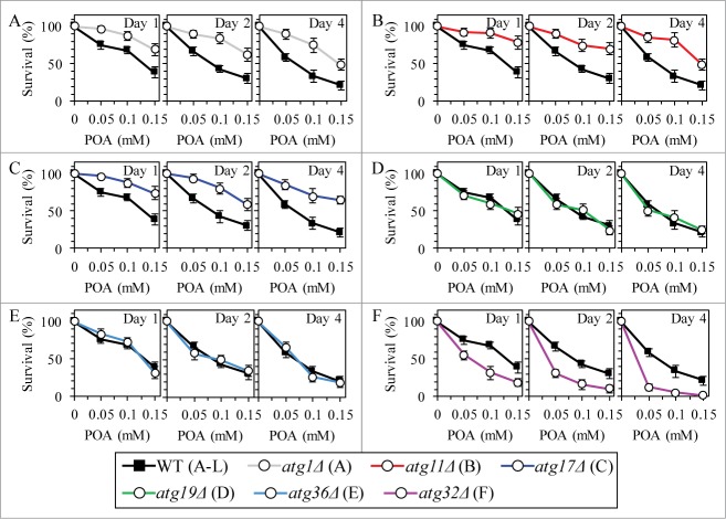 Figure 11.