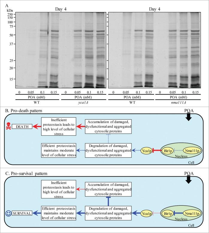 Figure 10.