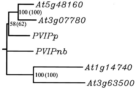 FIG. 1.