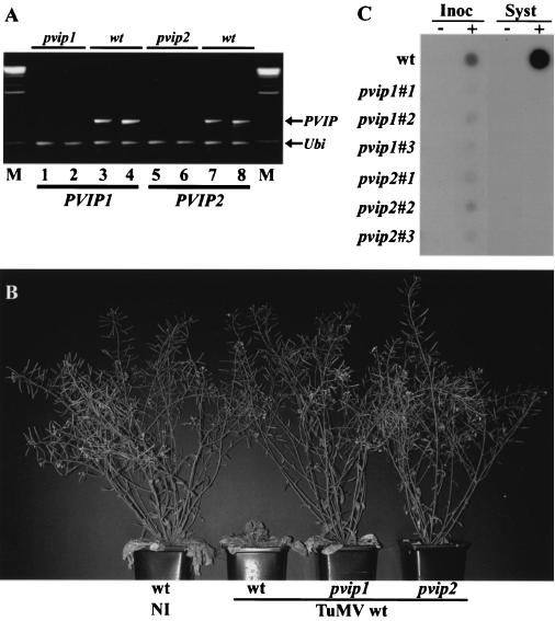 FIG. 6.