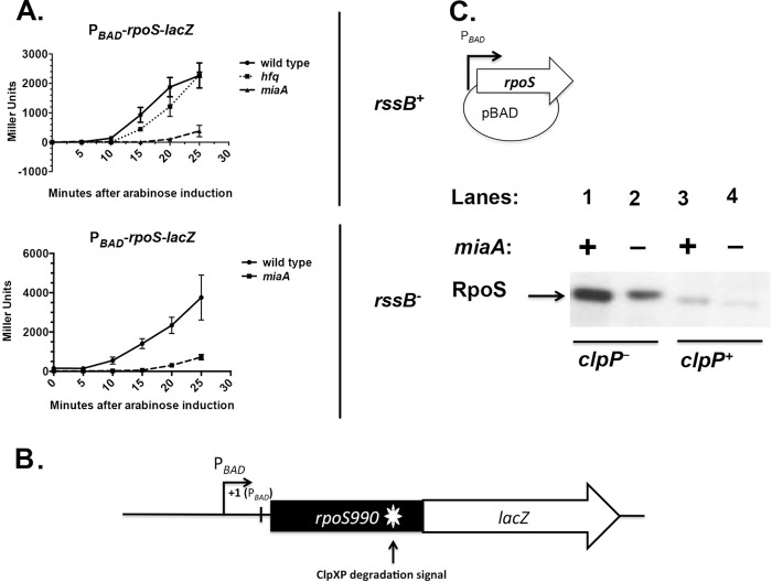 FIG 3