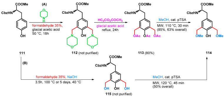 Scheme 31