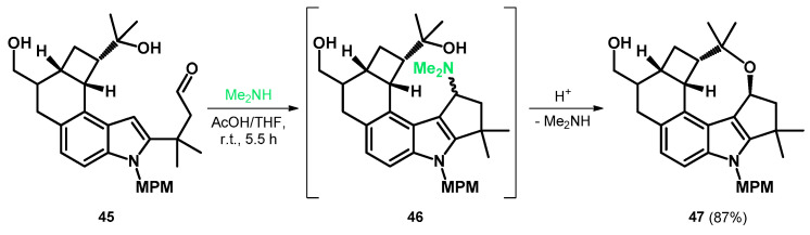 Scheme 15