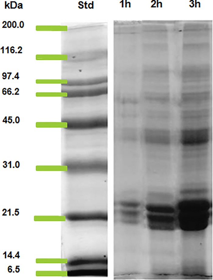 Fig 1