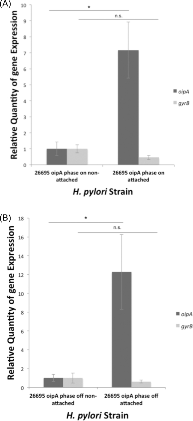 Figure 7.