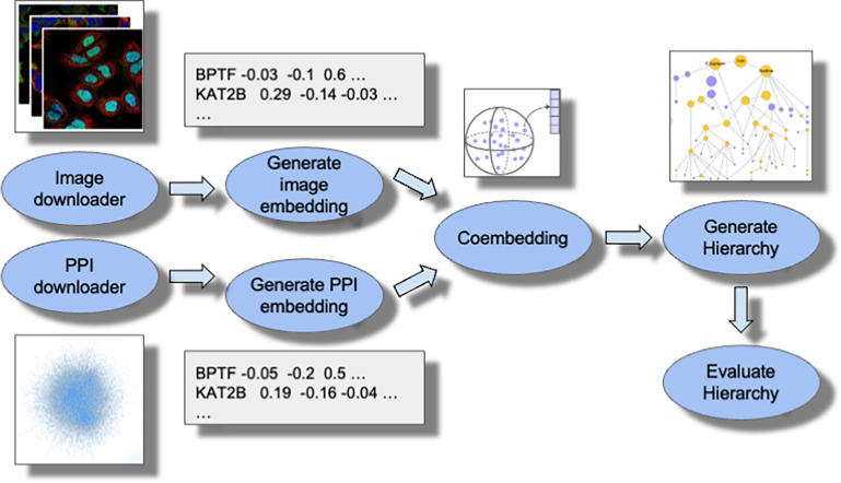 Figure 2 –