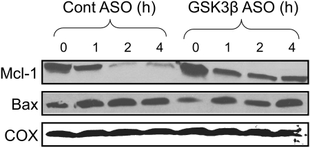 FIGURE 11.