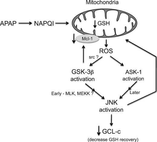 FIGURE 12.