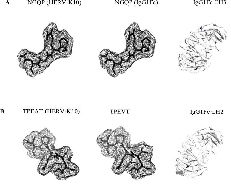 Fig. (2)