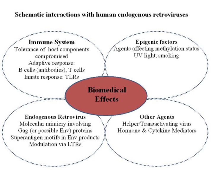 Fig. (3)