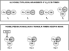 Fig. (6)