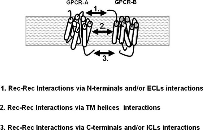 Fig. (1)