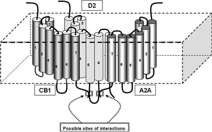 Fig. (7)