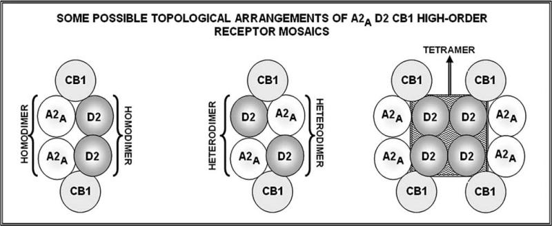 Fig. (9)