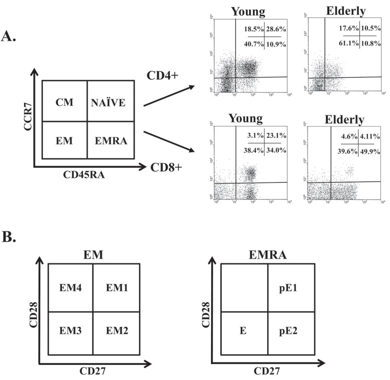 Fig. (4)