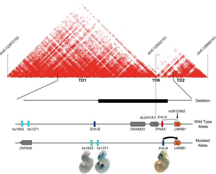 Figure 4.