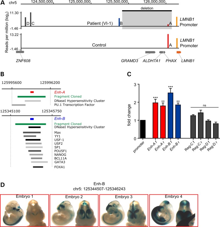 Figure 3.