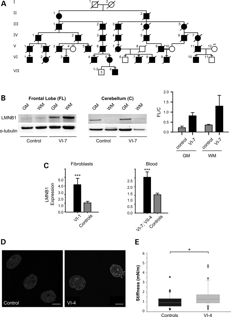 Figure 1.