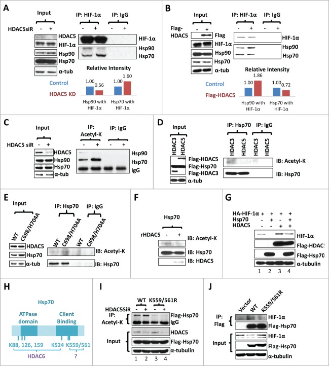 Figure 6 (See previous page).