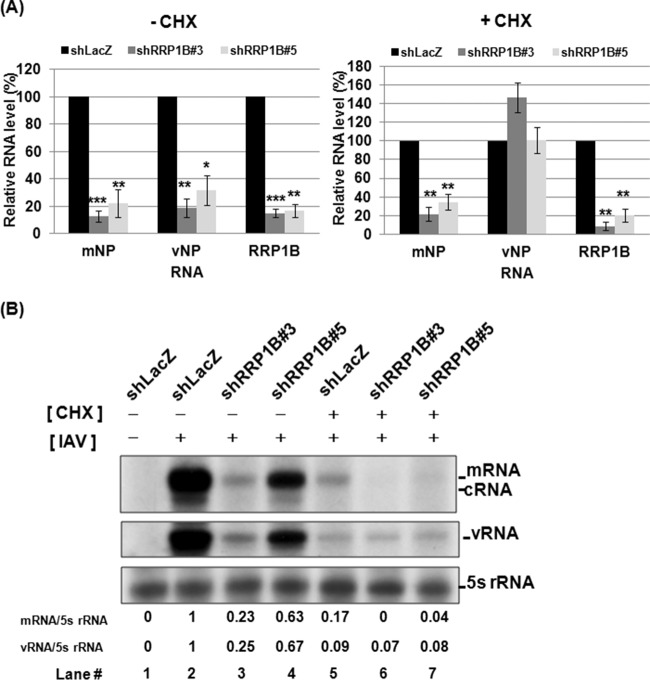 FIG 3