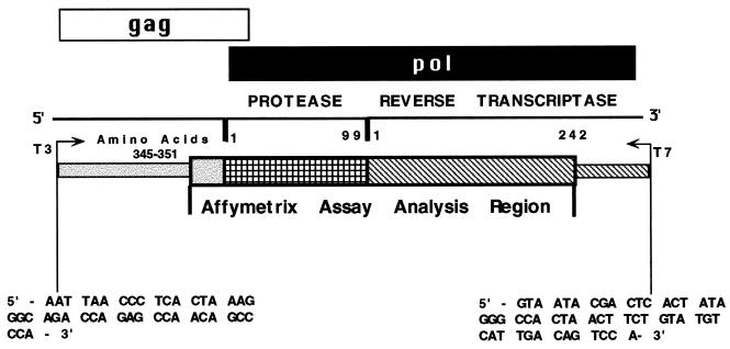 FIG. 1