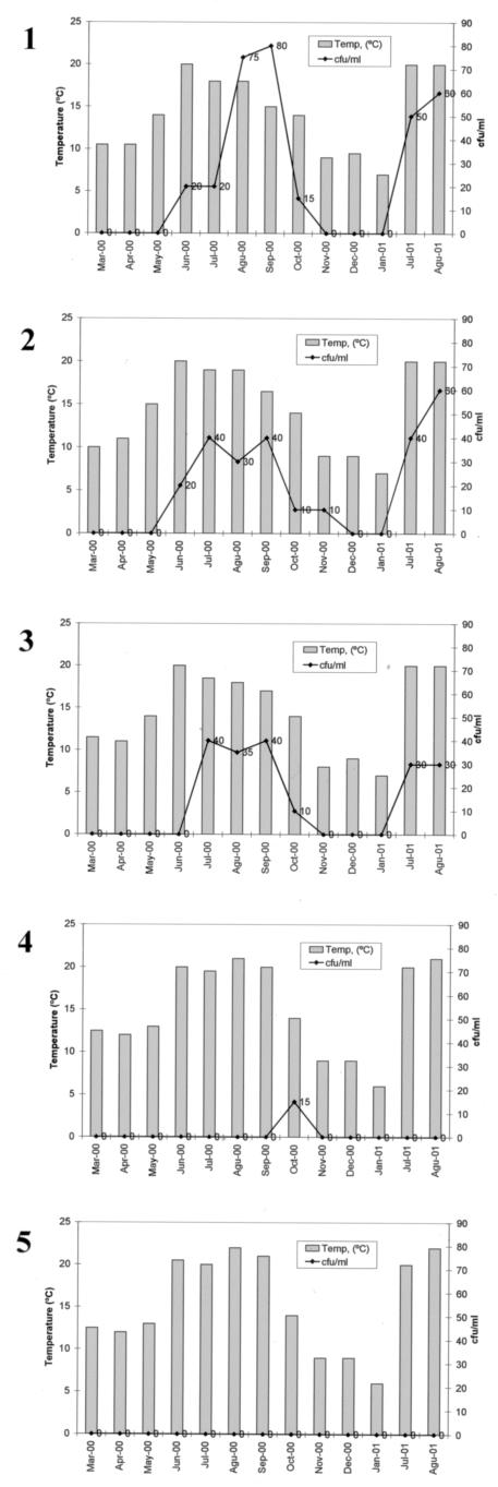 FIG.1.