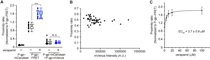 Figure 3.