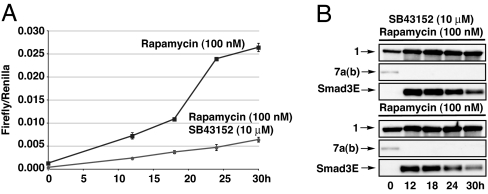 Fig. 7.