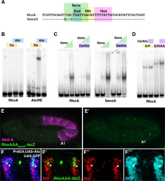 Figure 6