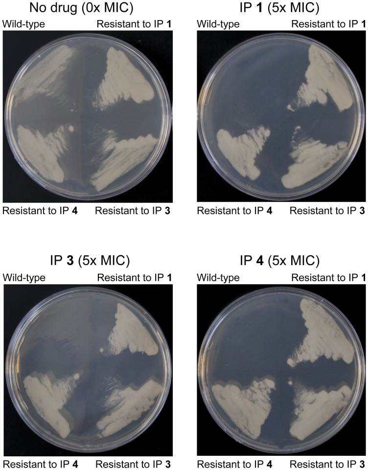 Figure 4