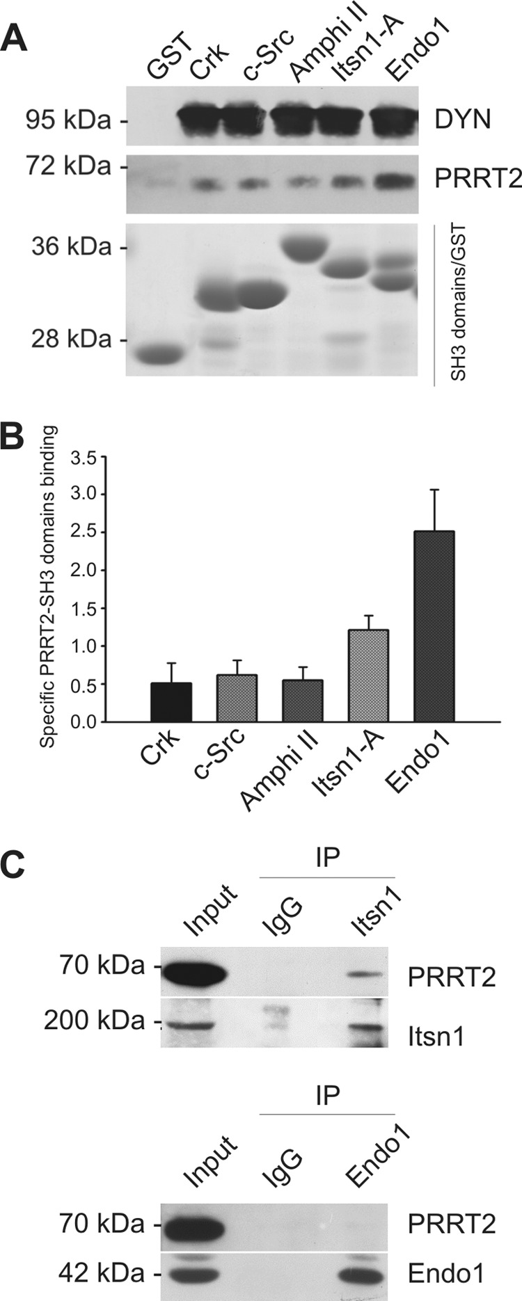 FIGURE 6.