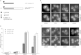 Figure 5