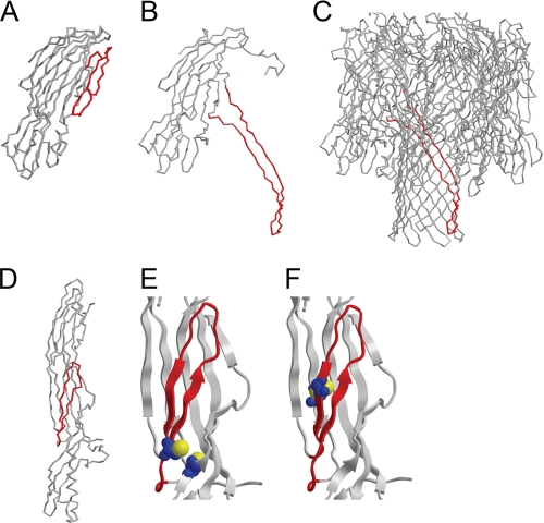 FIGURE 1.