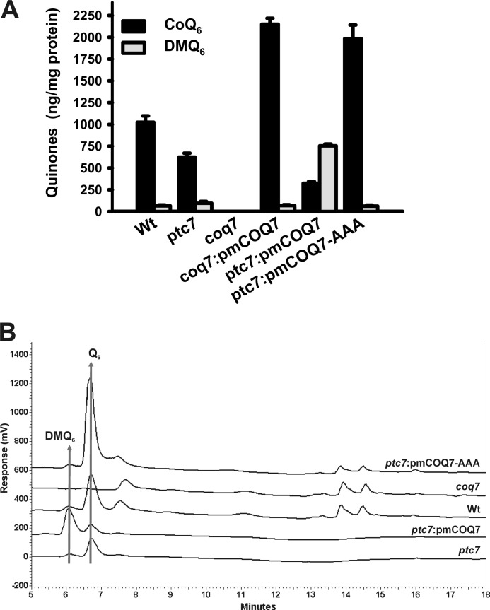 FIGURE 7.