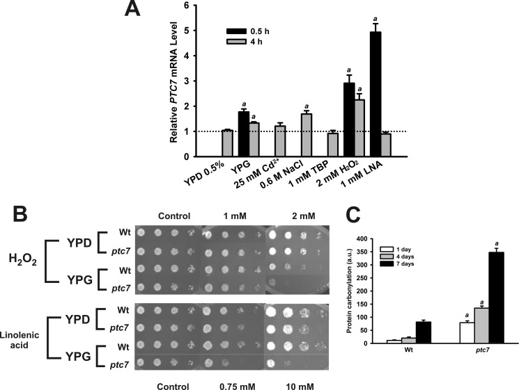 FIGURE 4.