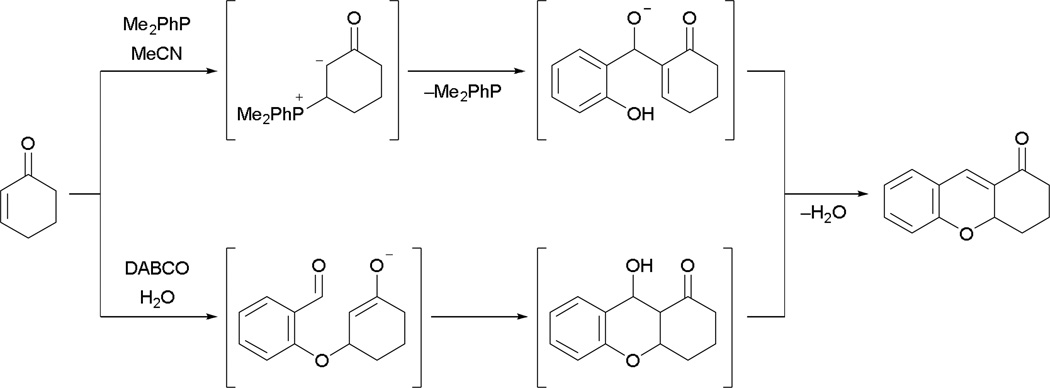 Scheme 8