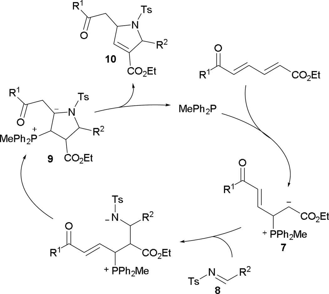 Scheme 6